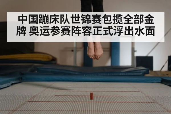 中国蹦床队世锦赛包揽全部金牌 奥运参赛阵容正式浮出水面